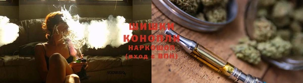 прущие грибы Алзамай