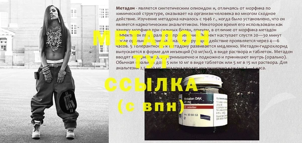 прущие грибы Алзамай